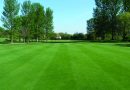 OAS Explains How To Reduce Thatch For A Truer, Firmer & Consistent Playing Surface.